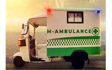 M Auto Clinic